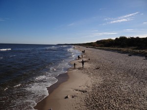 Strand Herbst